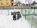 Stavění ze sněhu - 23. 01. 2023